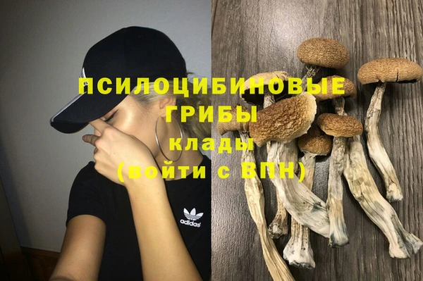 спиды Зерноград