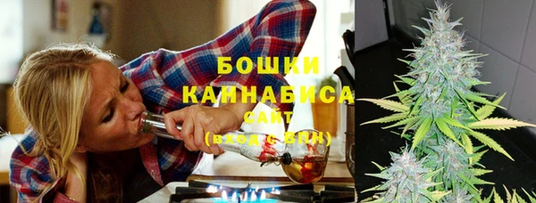 тгк Инсар
